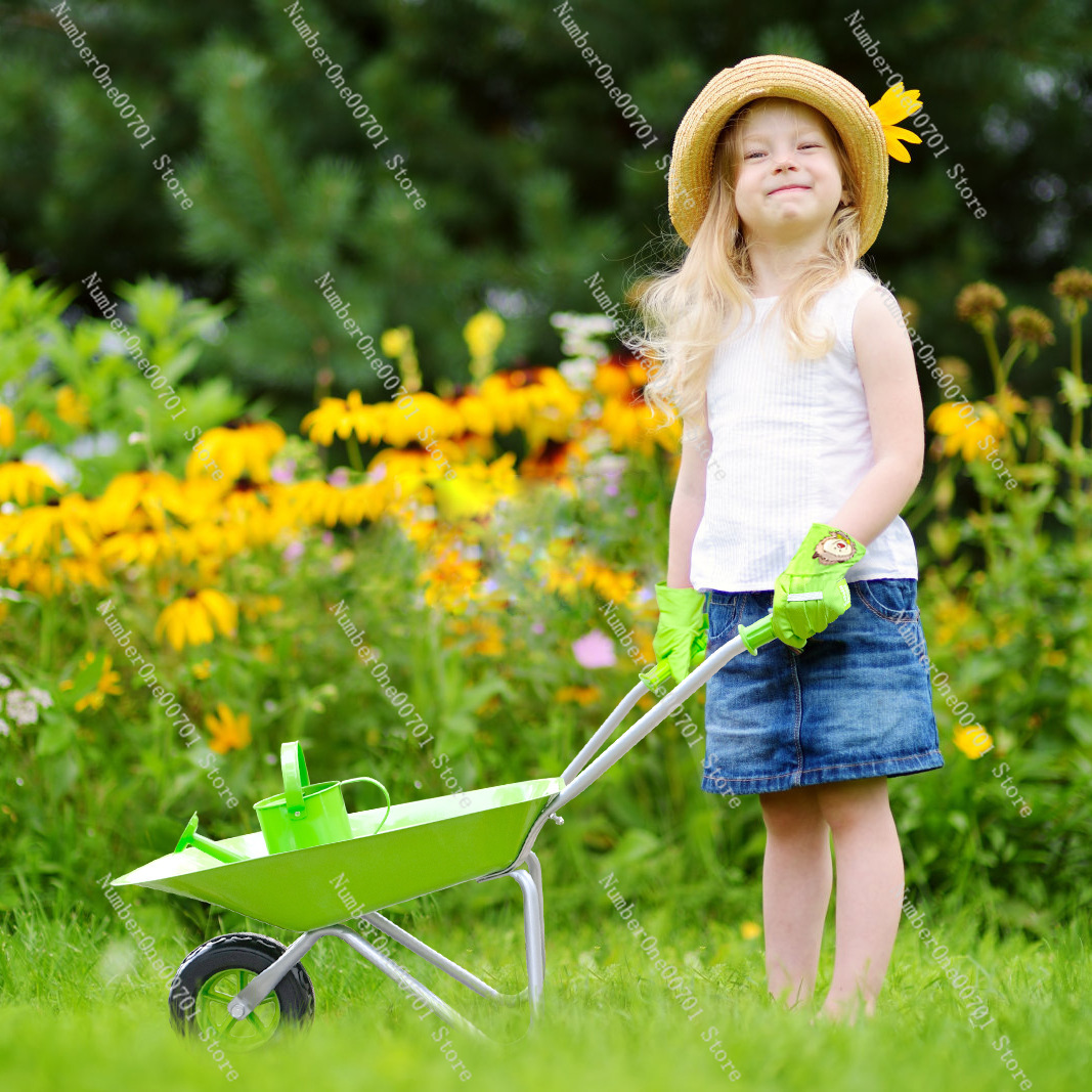 Kids Outdoor Wheelbarrow, Gree - đánh giá và giá Kids Outdoor Activity Set