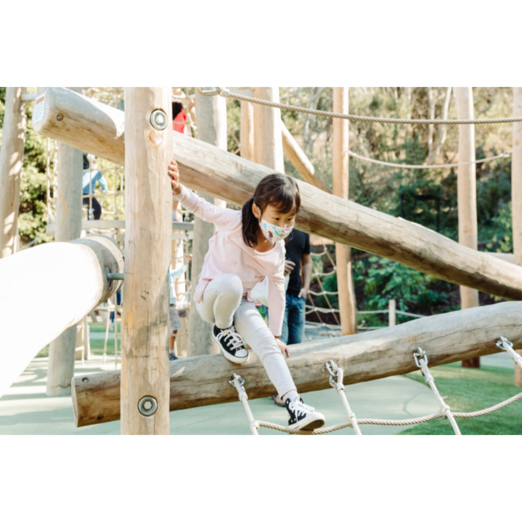 Kids Playground Outdoor Play S - đánh giá và giá Kids Outdoor Wooden Playset