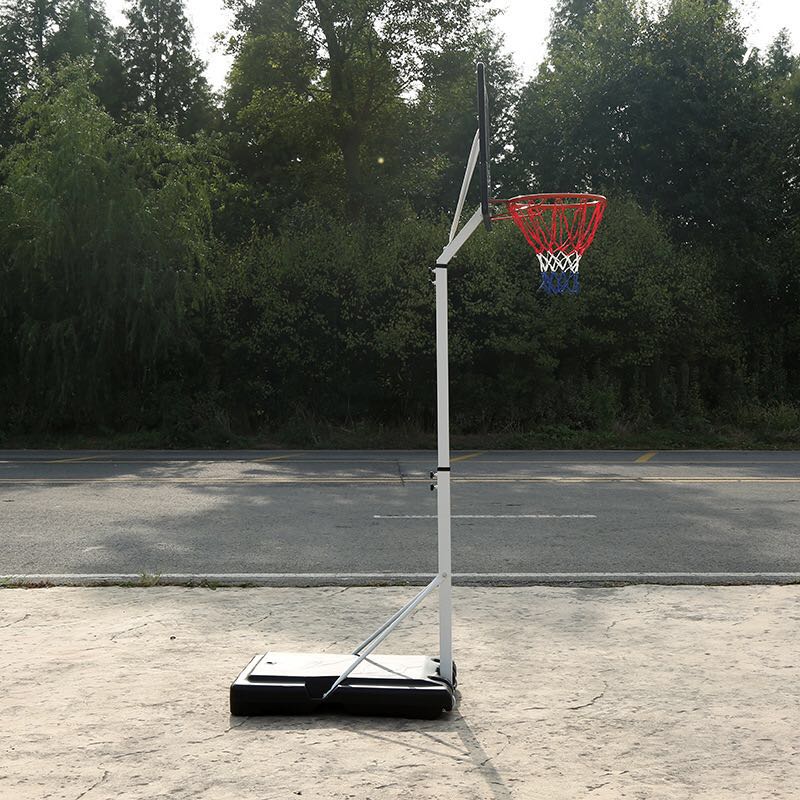 Portable Standard Basketball B - đánh giá và giá Basketball Hoop Outdoor